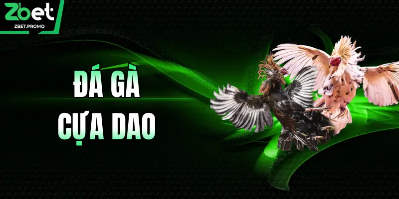 Đá Gà Cựa Dao – Đỉnh Cao So Tài, Bùng Nổ Đam Mê Cùng ZBET