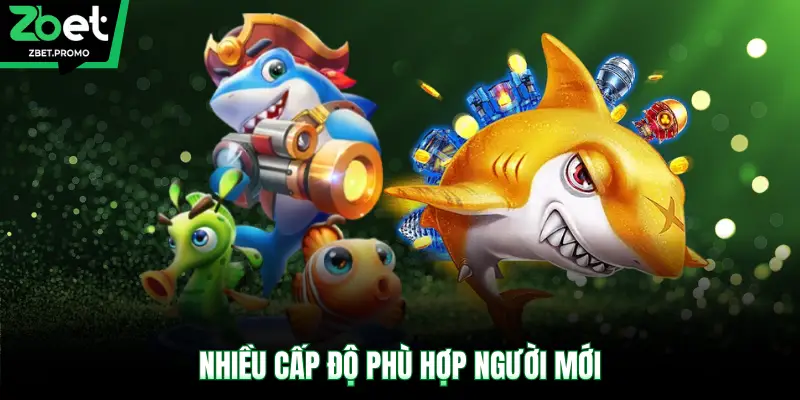 Nhiều cấp độ phù hợp người mới