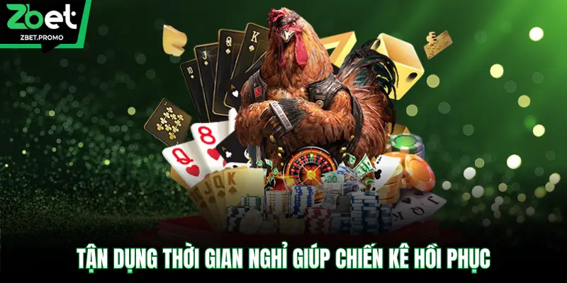 Tận dụng thời gian nghỉ giúp chiến kê hồi phục