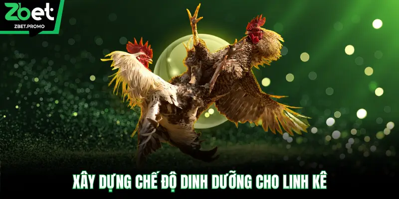 Xây dựng chế độ dinh dưỡng cho linh kê